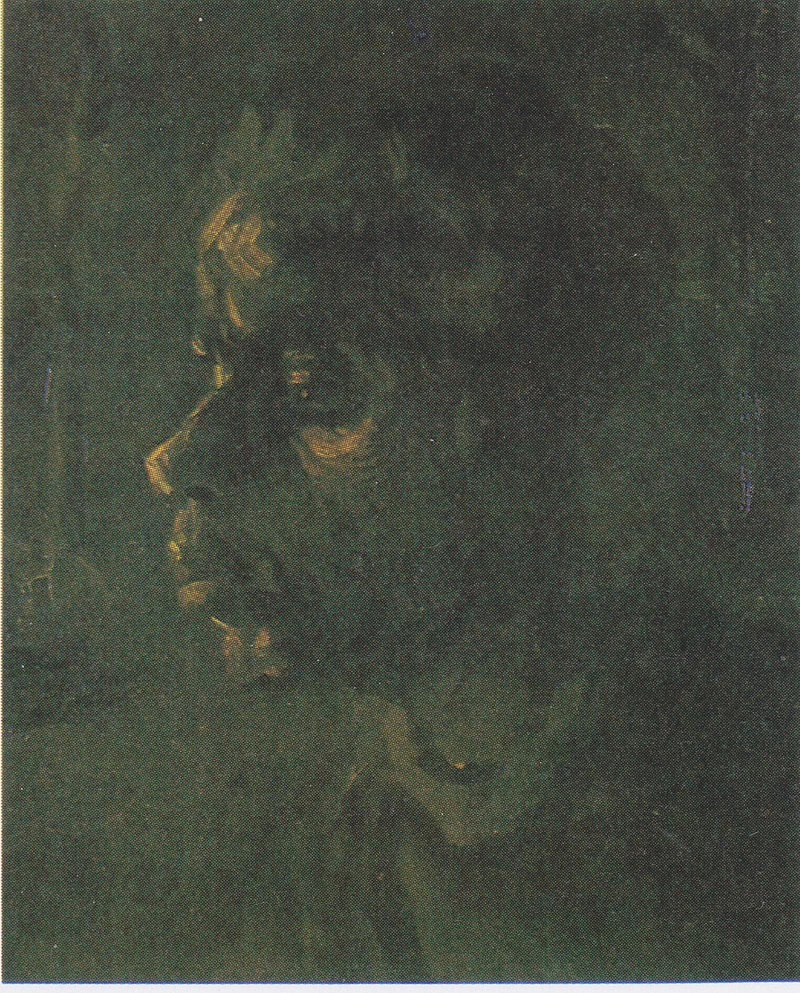   262-Vincent van Gogh-Testa di contadina - Kröller-Müller Museum, Otterlo